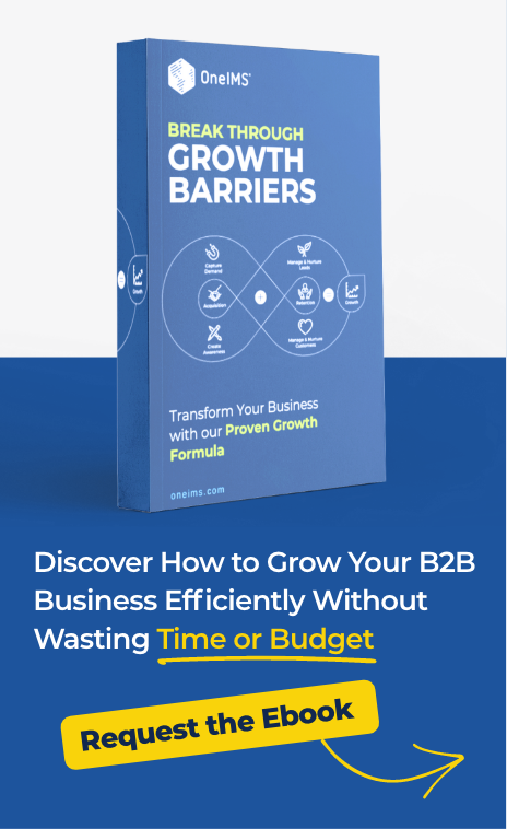 Discover How to Grow Your B2B Business Efficiently Without Wasting Time or Budget