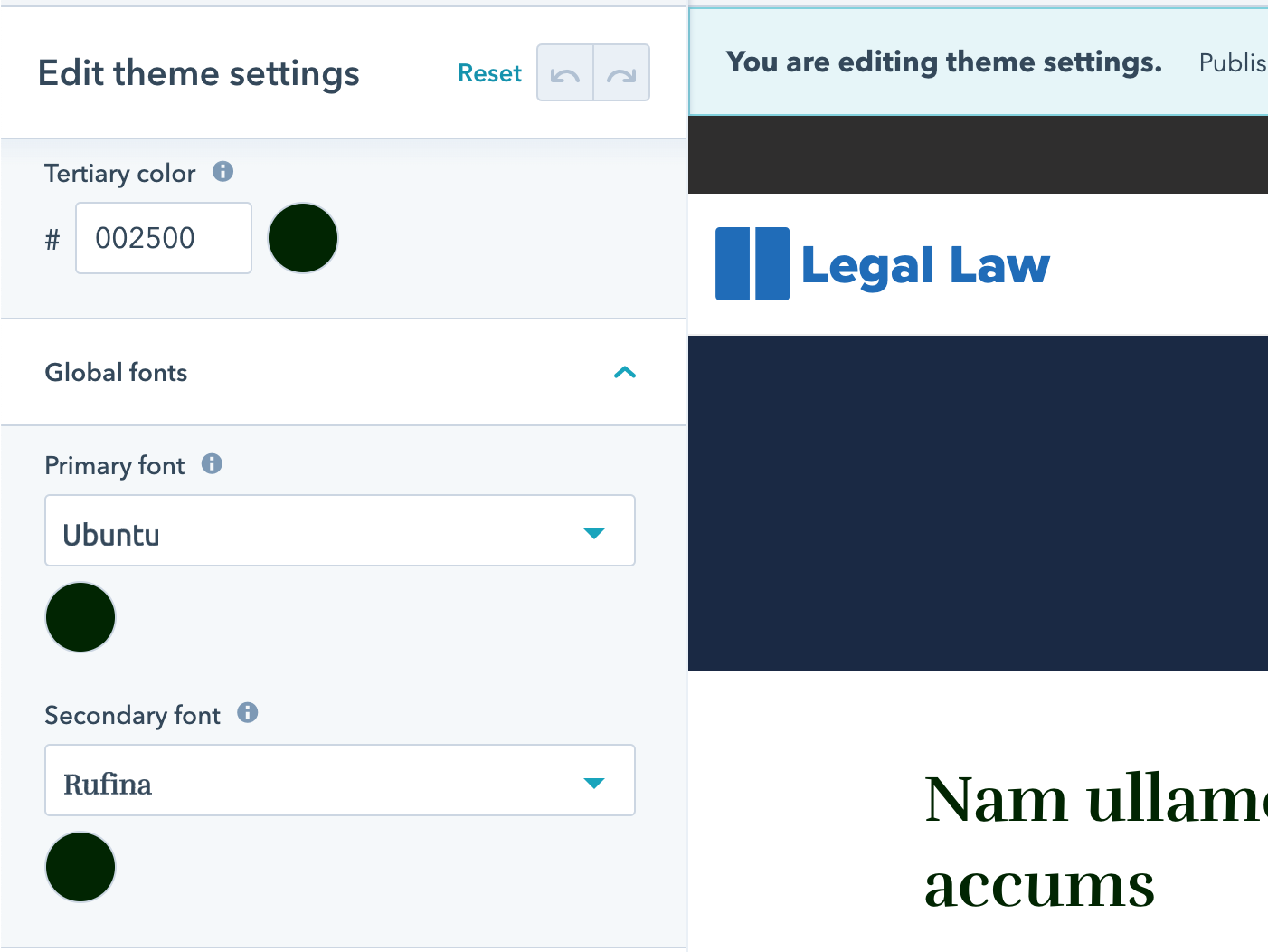 Powerful Theme Settings