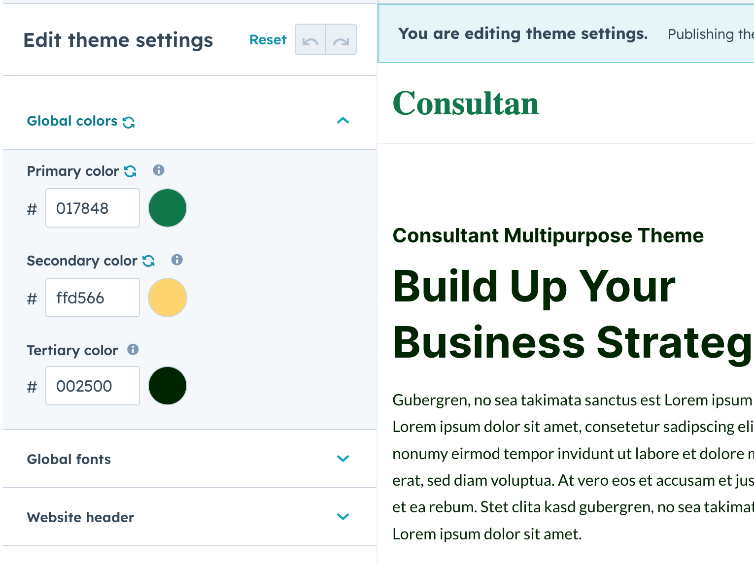 Powerful Theme Settings